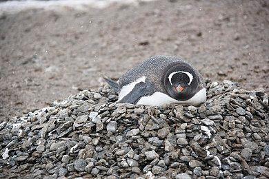 必胜客宣布将联动《英雄联盟》 9月活动正式开启