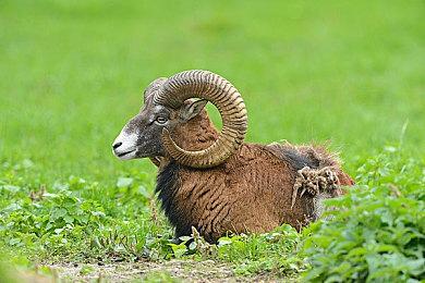 《集合啦！动物森友会》万圣节活动上线 特色衣装道具登场